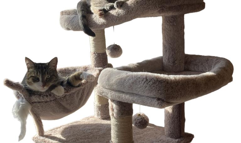 A multi level cat tower
